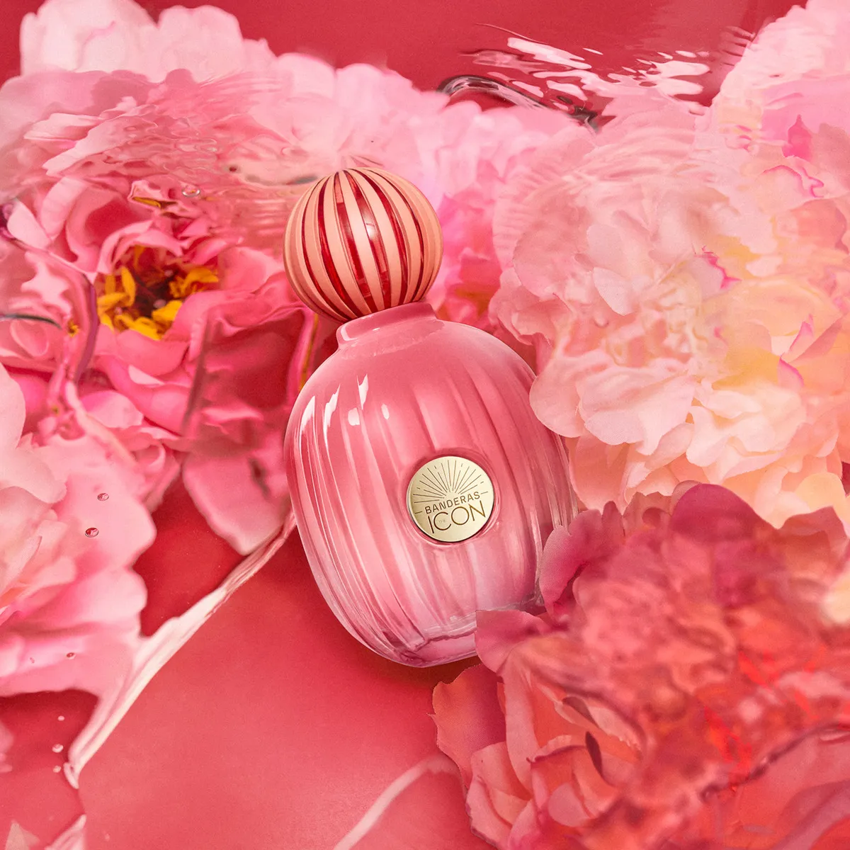 Perfume Banderas The Icon Splendid Eau de Parfum 100 ml Feminino