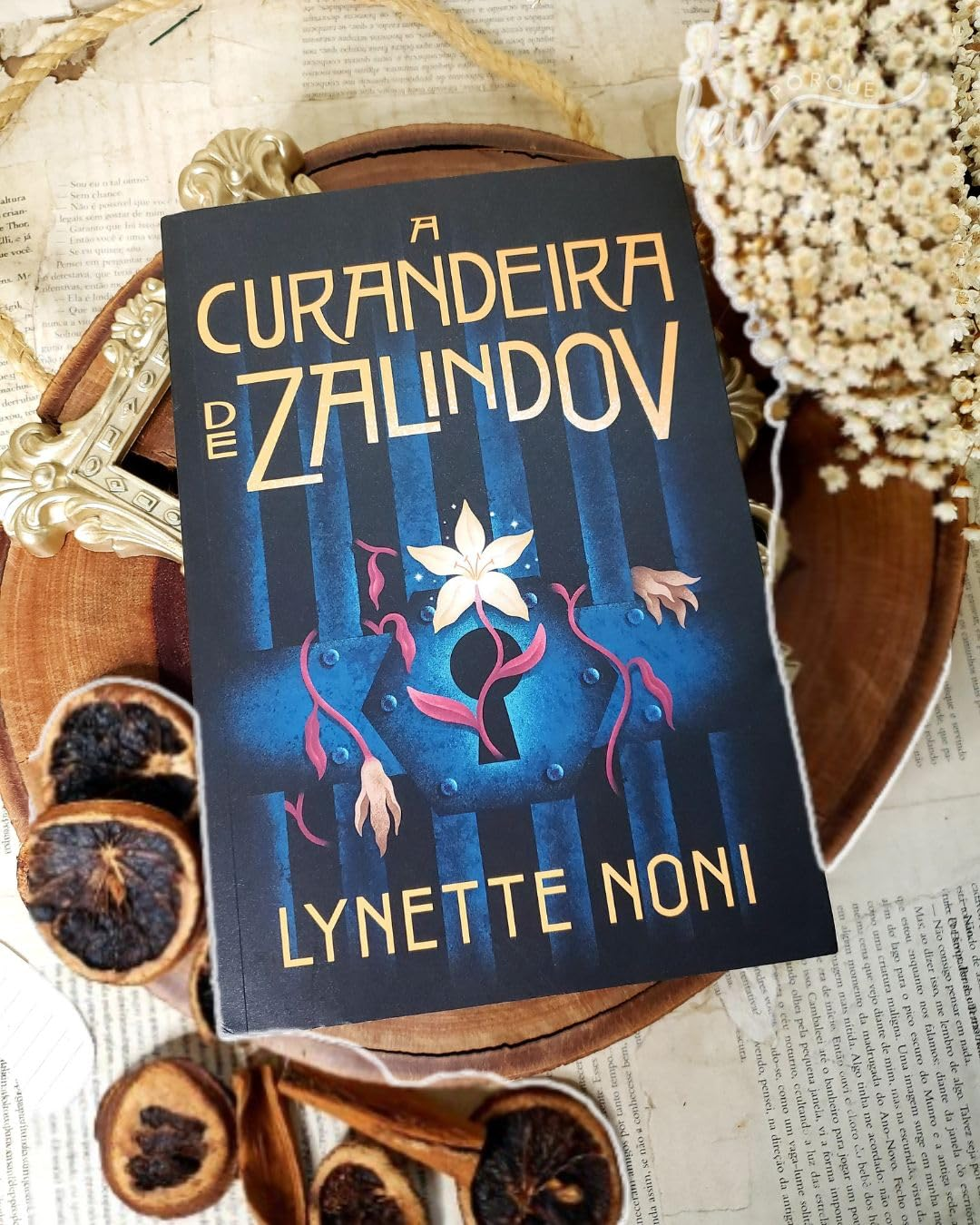 A curandeira de Zalindov: Volume 1