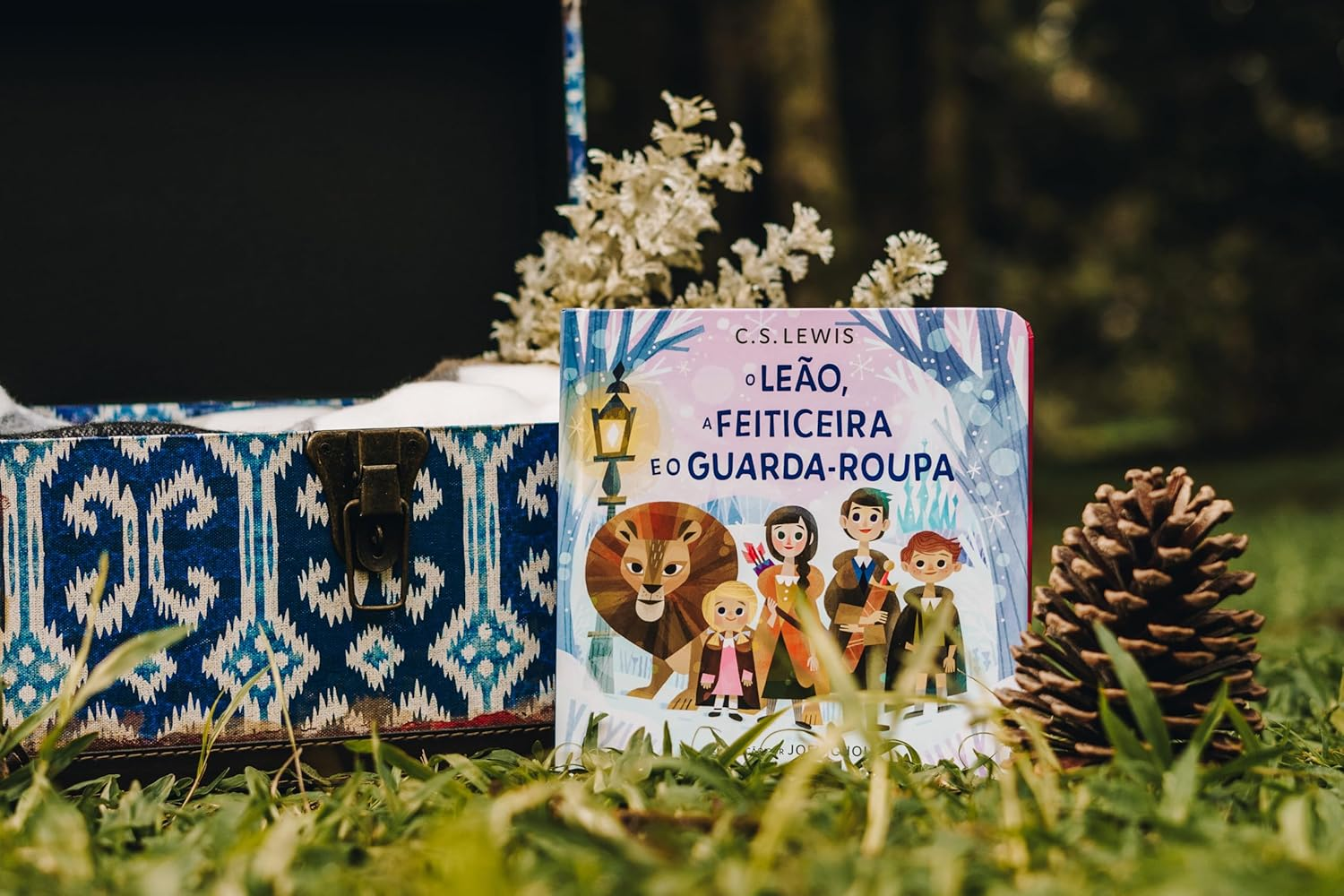 Mundo de Nárnia: O Leão, a feiticeira e o guarda-roupa – Livro infantil cartonado do clássico As Crônicas de Nárnia