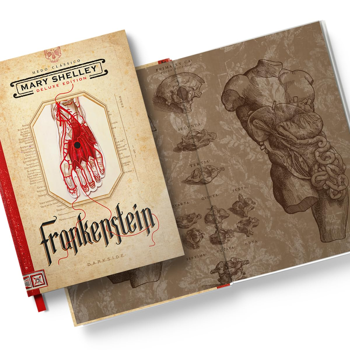 FRANKENSTEIN, OU O PROMETEU MODERNO - EDIÇÃO ILUSTRADA 